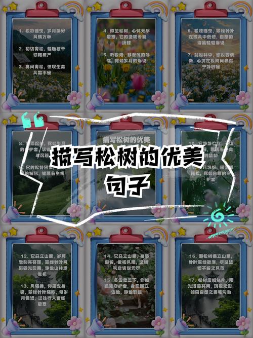 松有何名言？-图3