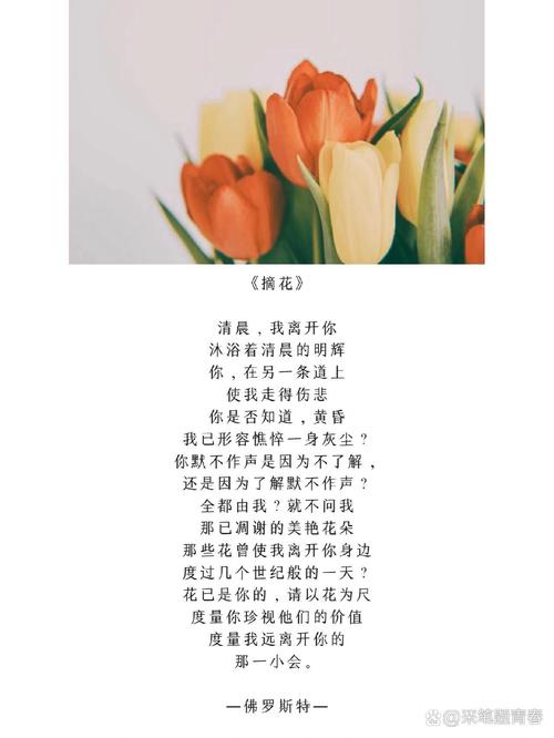 普普罗旺斯诗歌有何独特魅力？-图2