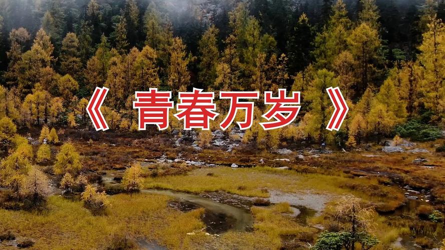 诗歌朗诵片头，如何设计才动人？-图3