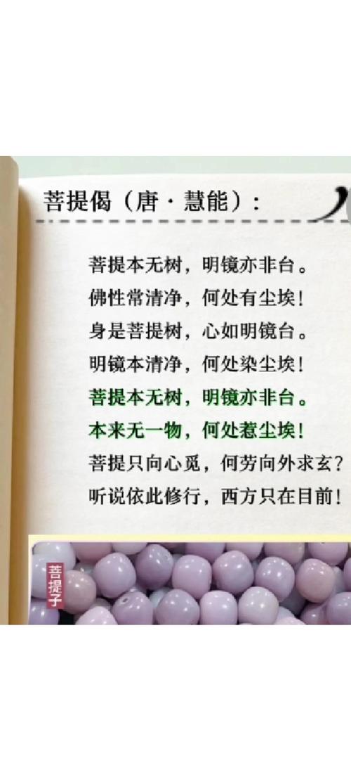 禅语何解？-图1