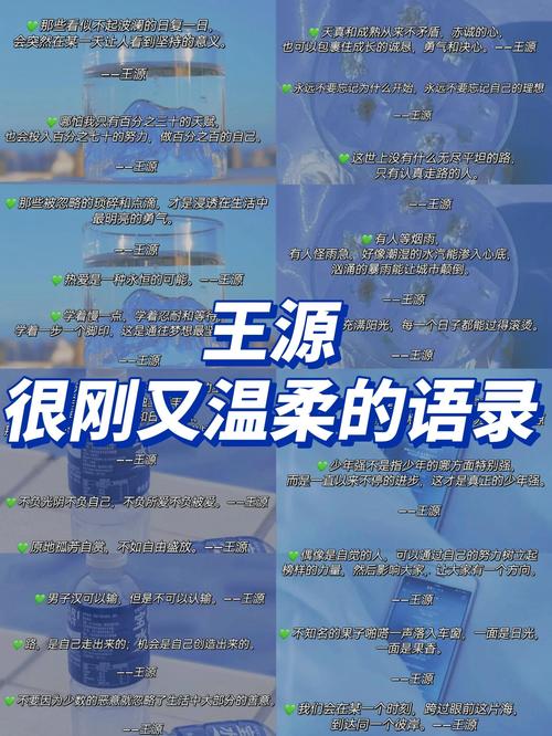 王源名言名句-图1