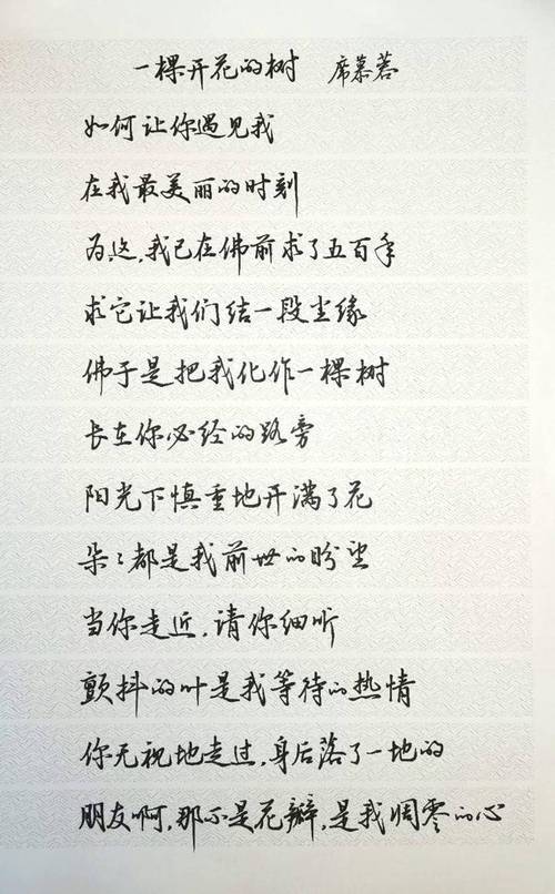 席慕容诗中藏着怎样的深情?-图2 席慕容诗中藏着怎样的深情?-图2