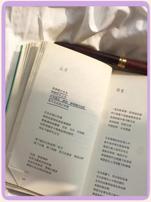 七里香诗中藏着什么?-图1 七里香诗中藏着什么?-图1