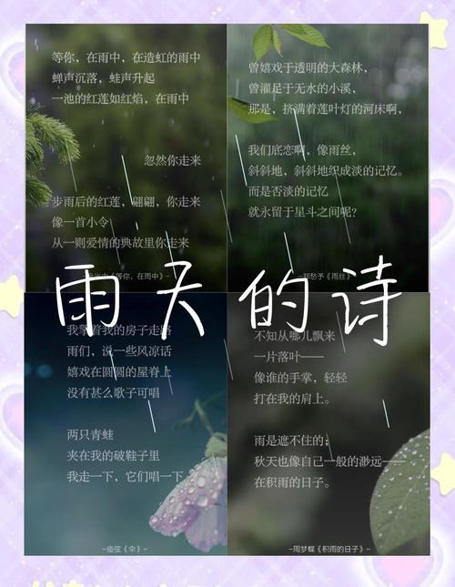 大雨的诗歌藏着怎样的诗意？-图1