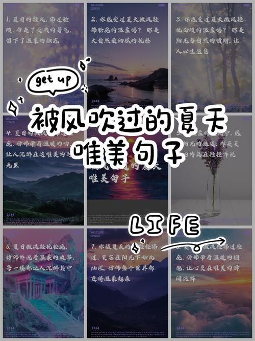夏之名句，如何凝练夏日之美？-图2