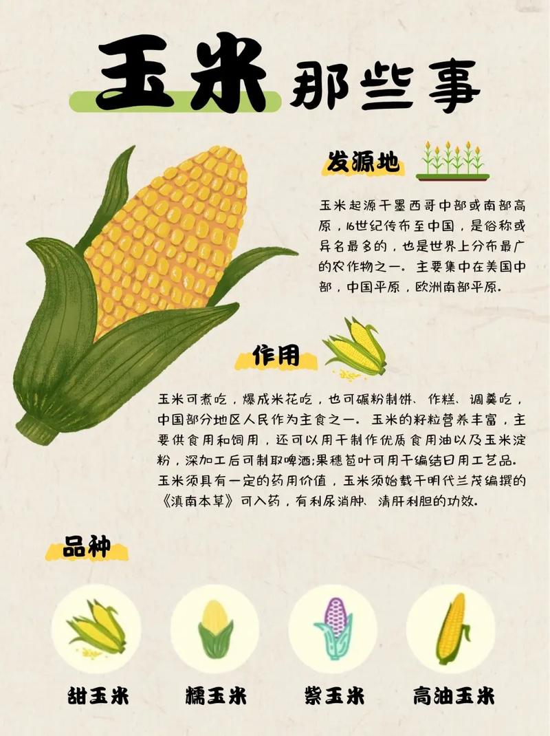 玉米人名言，藏着什么智慧？-图3