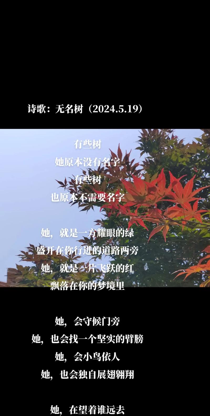 树的现代诗,如何写魂?-图2 树的现代诗,如何写魂?-图2