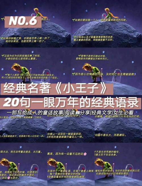 小王子名言藏着什么人生真谛？-图3