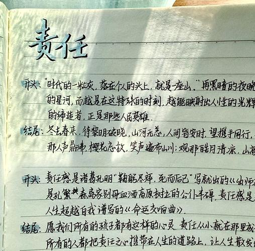 青春与责任,诗中如何平衡?-图1 青春与责任,诗中如何平衡?-图1