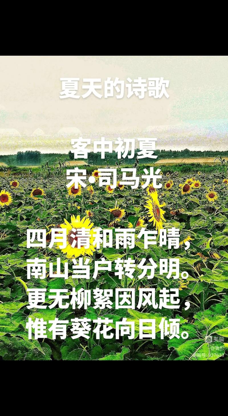 初夏诗歌,何以为诗?-图3 初夏诗歌,何以为诗?-图3
