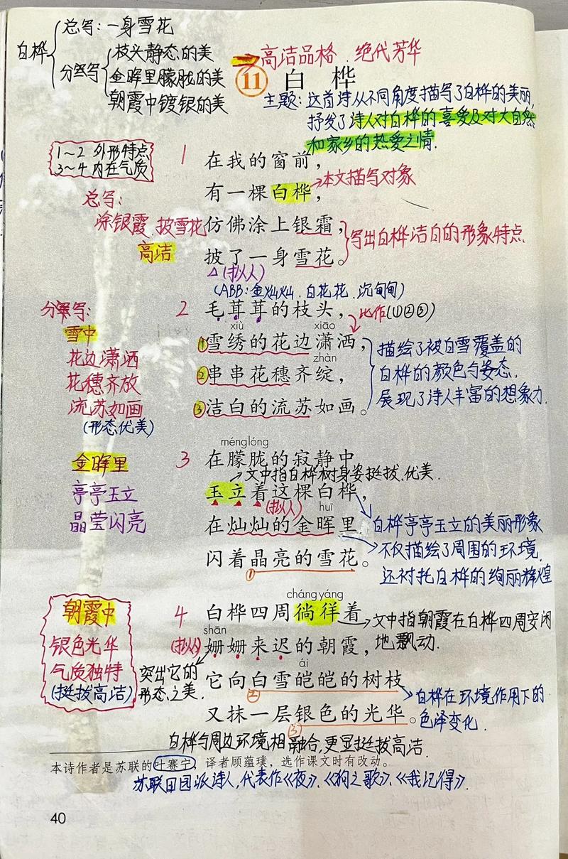 白桦诗歌的意思-图3 白桦诗歌的意思-图3