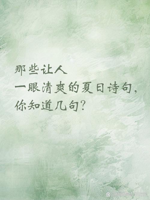 夏日诗韵，如何品鉴？-图2