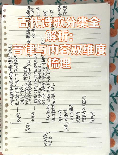 分，具体有哪些类别？-图2