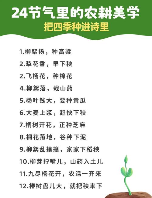 四季诗歌，如何教小学生理解？-图3