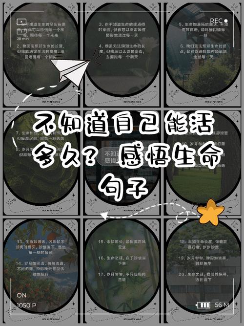 生命无价，如何衡量其价值？-图2