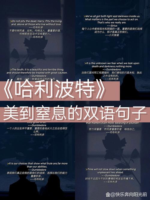 哈利波特名言蕴含什么力量？-图2