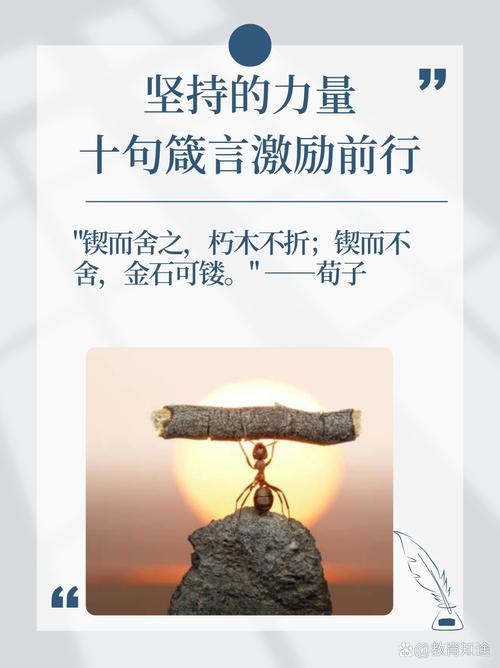 固守名言，何为真正智慧？-图2