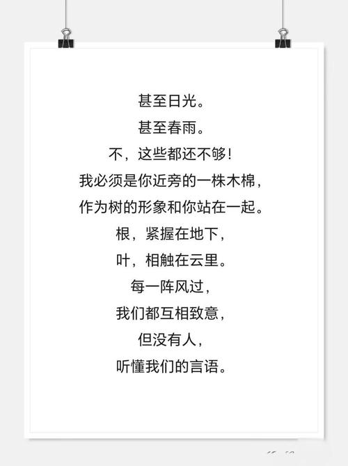 现代爱情诗，何处寻真爱真意？-图2