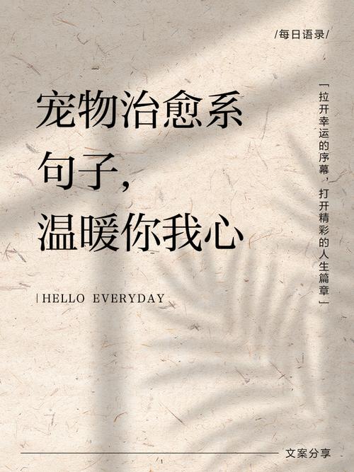 养宠名言，藏着哪些智慧？-图2