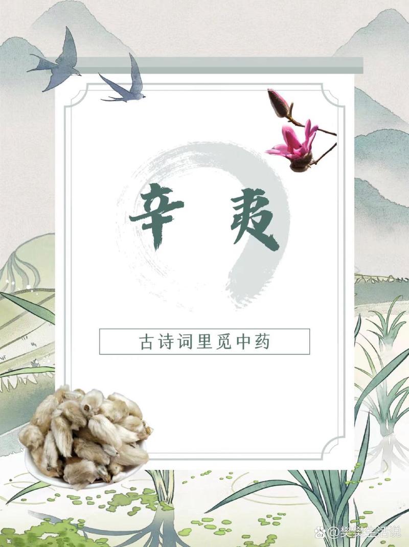 诗中藏药香，何处寻药方？-图2