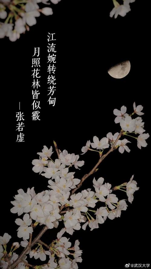 樱花赞诗歌，赞的是何情何景？-图2