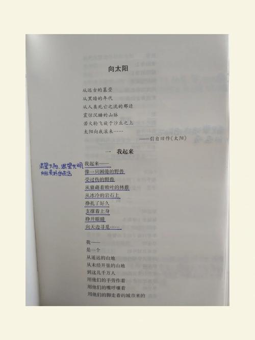 向太阳是艾青对光明的追问吗？-图1