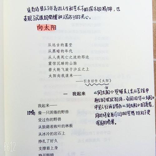 向太阳是艾青对光明的追问吗？-图2