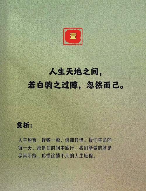 庄子名言蕴含何深意？-图3