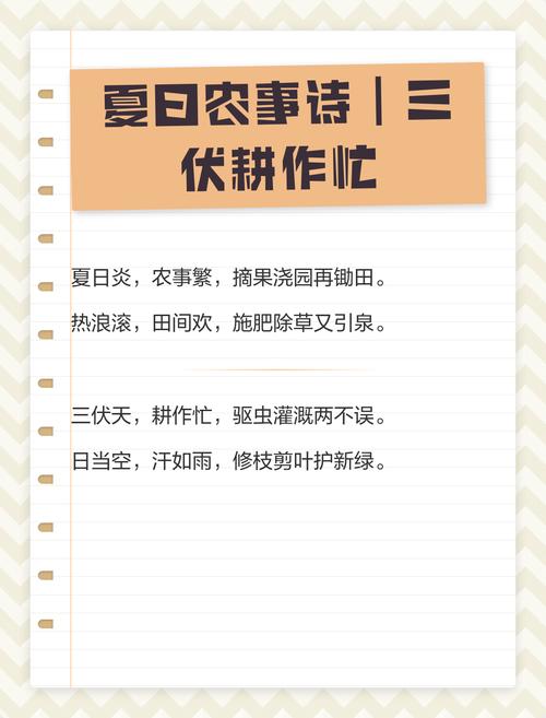 忙又忙诗歌-图2