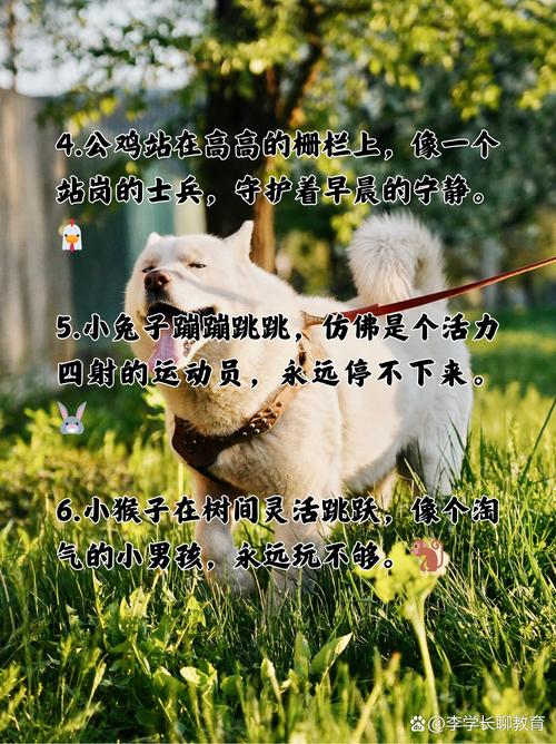 动物名名言,藏着怎样的智慧?-图3 动物名名言,藏着怎样的智慧?-图3