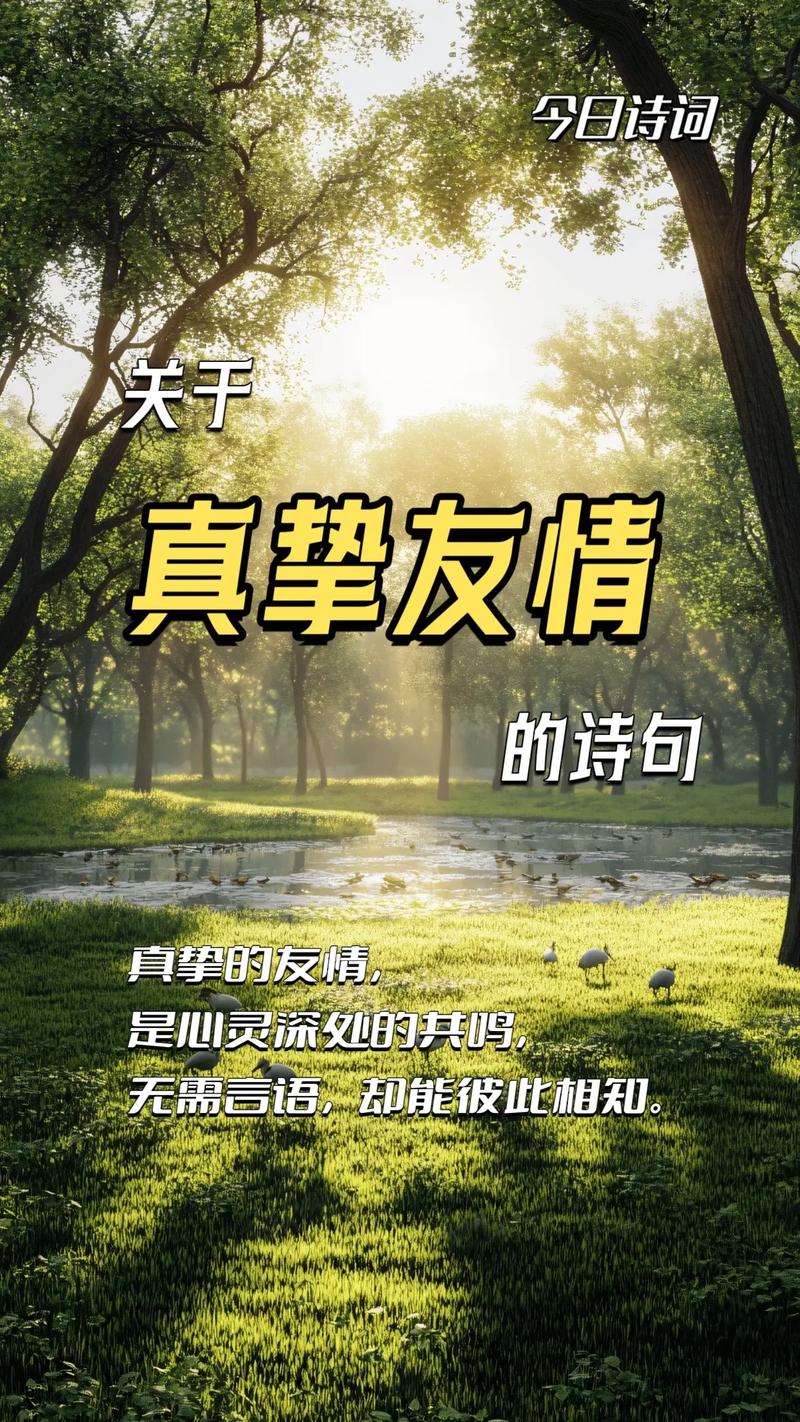 友谊短诗，如何丈量情深？-图2