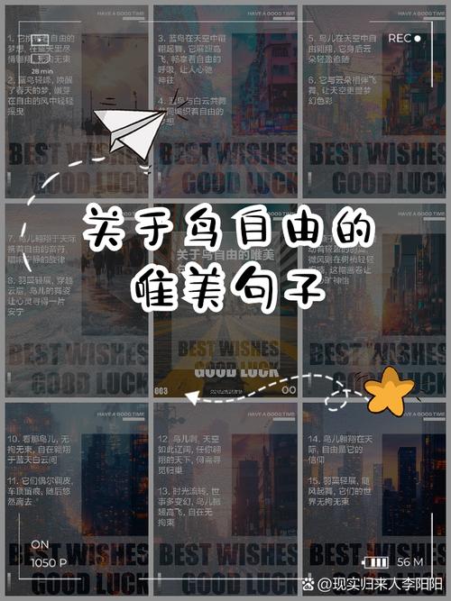 何为真正的自由名言?-图3 何为真正的自由名言?-图3