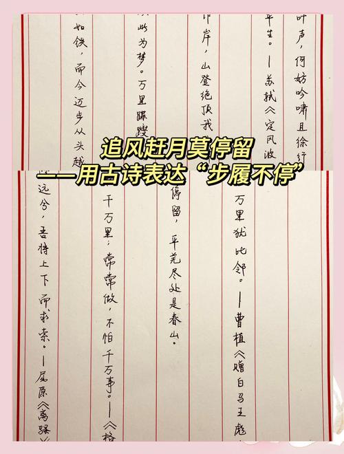 总结的诗歌，如何凝练岁月哲思？-图1