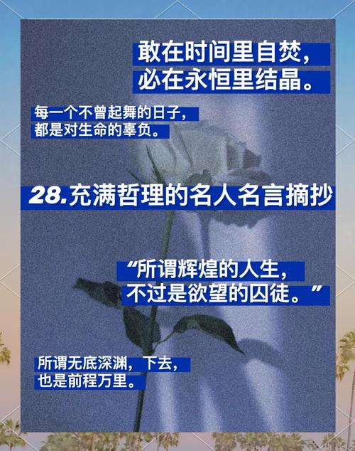 生活名言哲理句,藏着怎样的生命智慧?-图1 生活名言哲理句,藏着怎样的生命智慧?-图1
