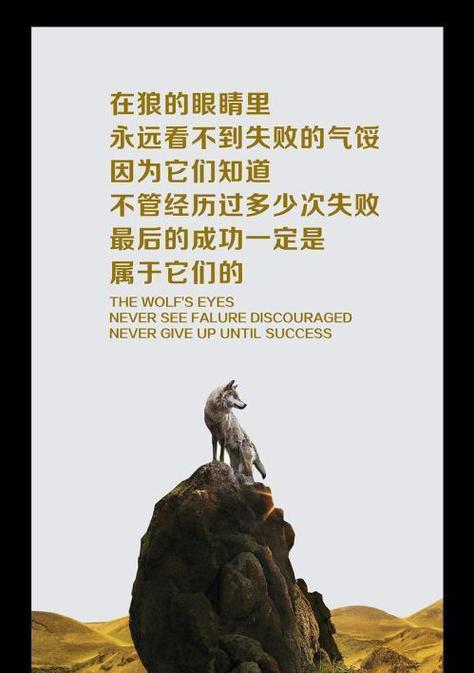 狼的智慧，何为生存警句？-图2