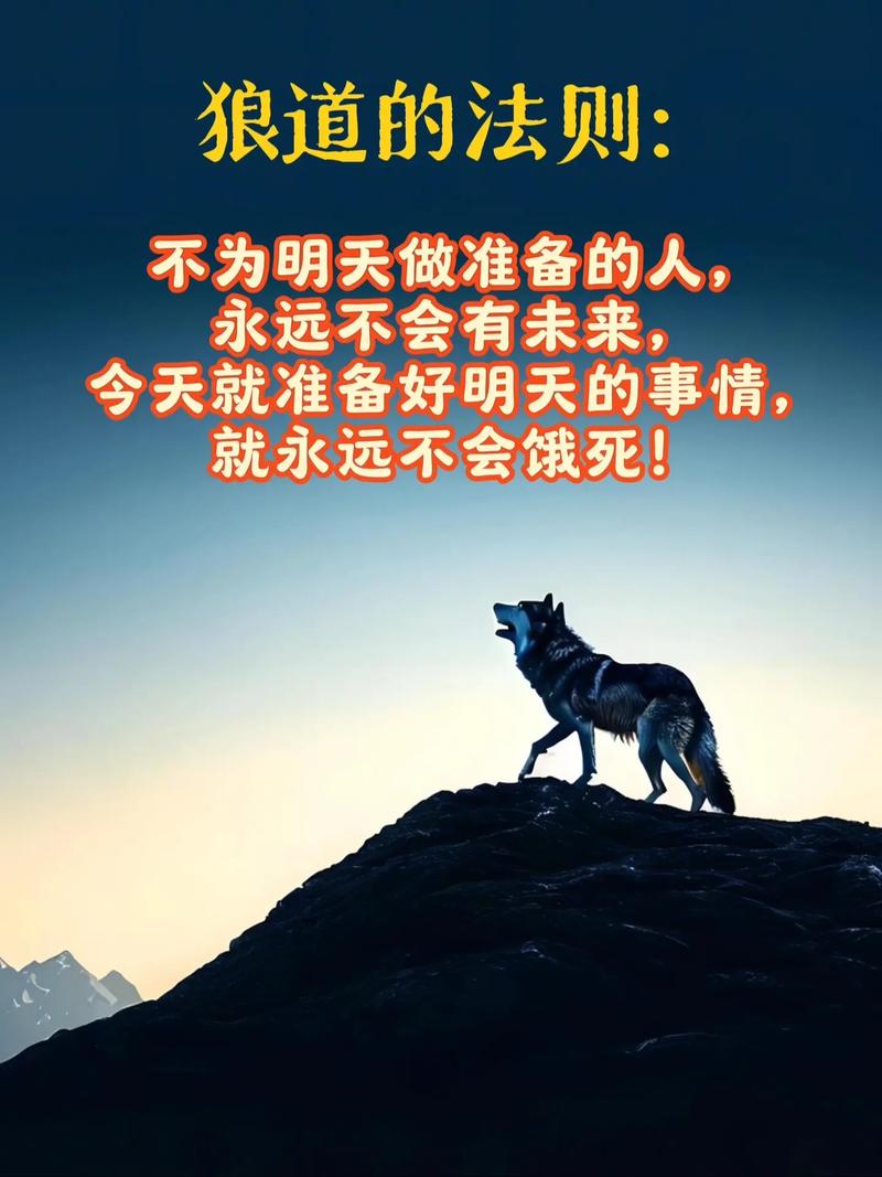 狼的智慧，何为生存警句？-图3