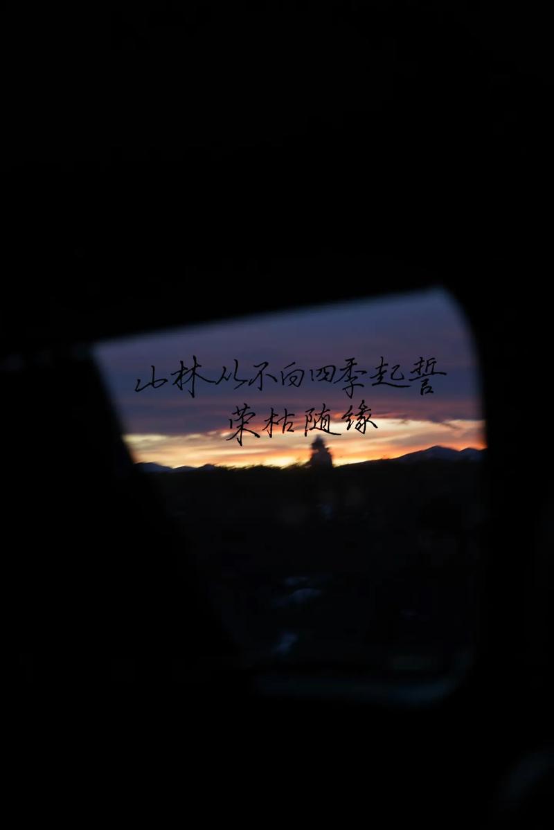 森山大道名言藏着什么哲思？-图1