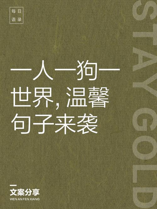 宠物的名言-图1 宠物的名言-图1