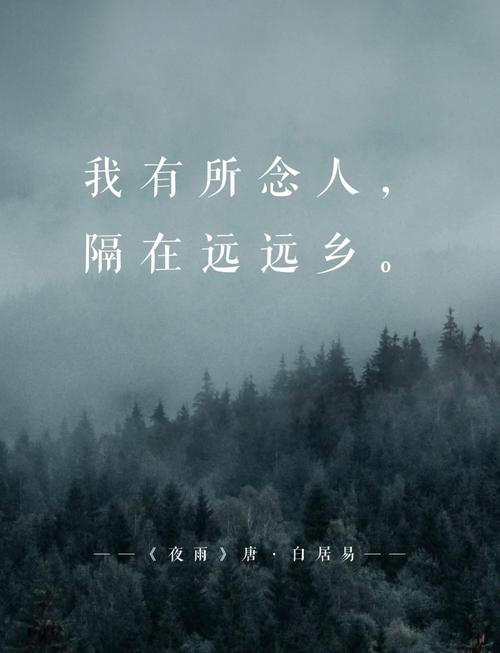 关于想念的诗歌-图2