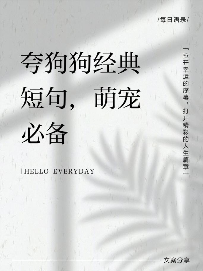 关于小狗的名言-图2 关于小狗的名言-图2