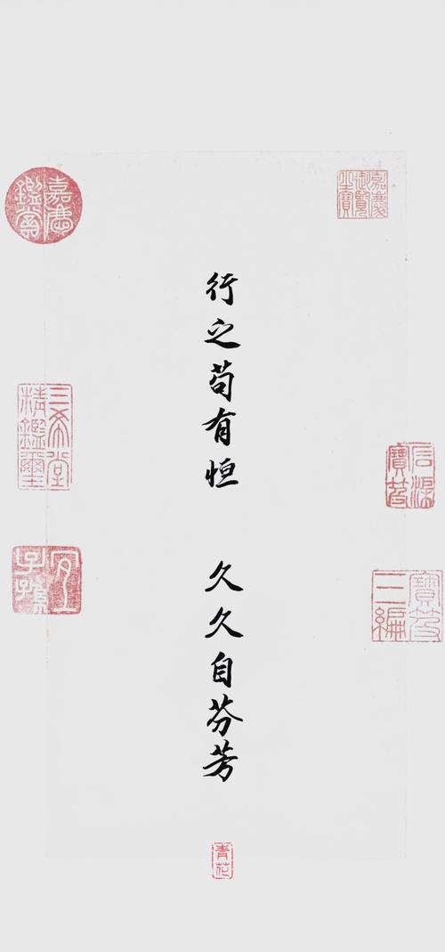 叶良辰名言为何爆红网络?-图1 叶良辰名言为何爆红网络?-图1