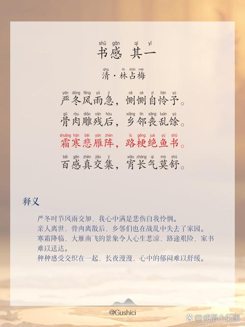 书籍的诗歌，文字如何筑起灵魂的避难所？-图2