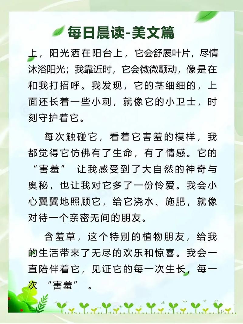 诗歌含羞草，藏着什么秘密？-图1