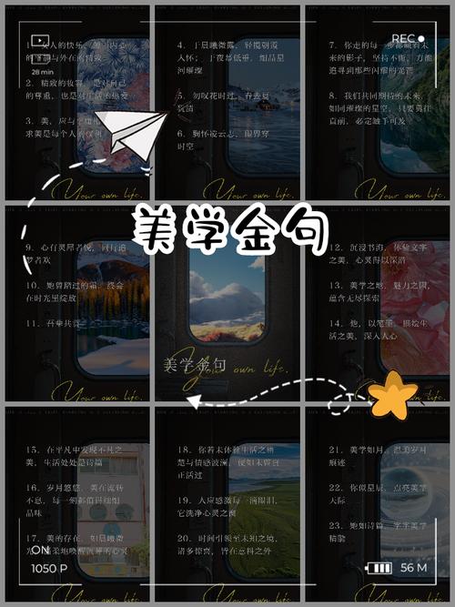 何为审美真谛？-图1