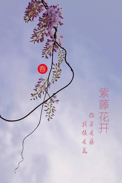 诗歌与摄影，如何相融共生？-图3