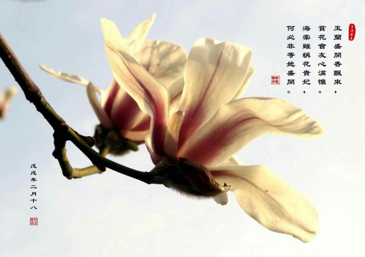 诗歌与摄影，如何相融共生？-图2