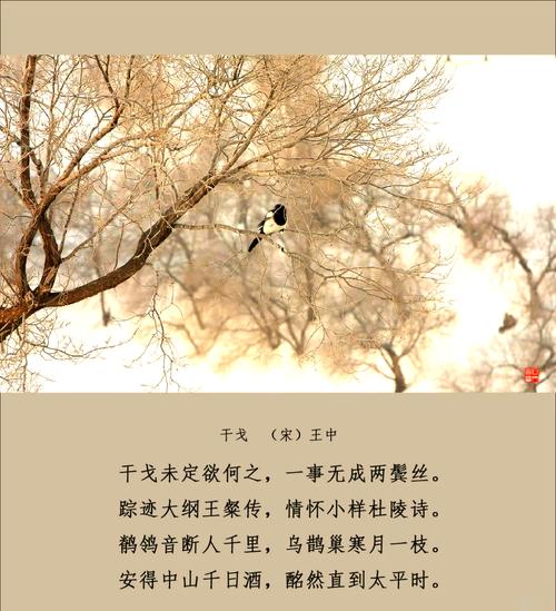 语言、诗歌与诗，本质何在？-图1