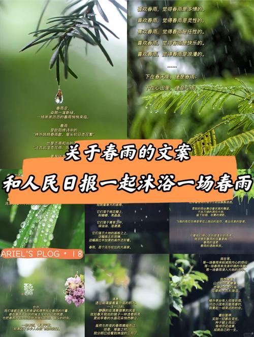 幼儿诗歌春雨-图1