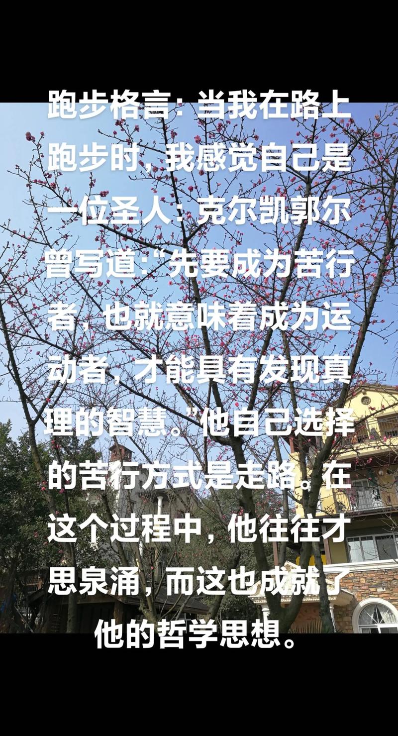 托克维尔名言有何深意？-图1