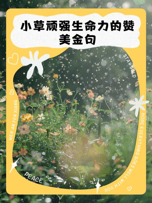 小草为何被历代文人赞美?-图1 小草为何被历代文人赞美?-图1